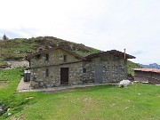 Capanna 2000 ad anello da Alpe Arera, festa di fiori-13magg26- FOTOGALLERY